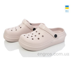 Кроксы Golden Lion